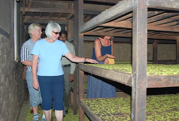 Cardamom Processing Unit